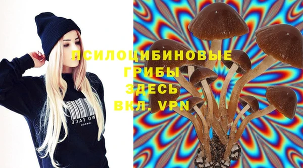 mdma Костерёво