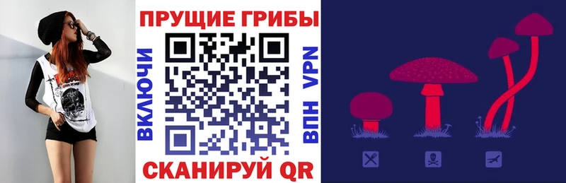 Псилоцибиновые грибы Psilocybine cubensis  Мещовск 